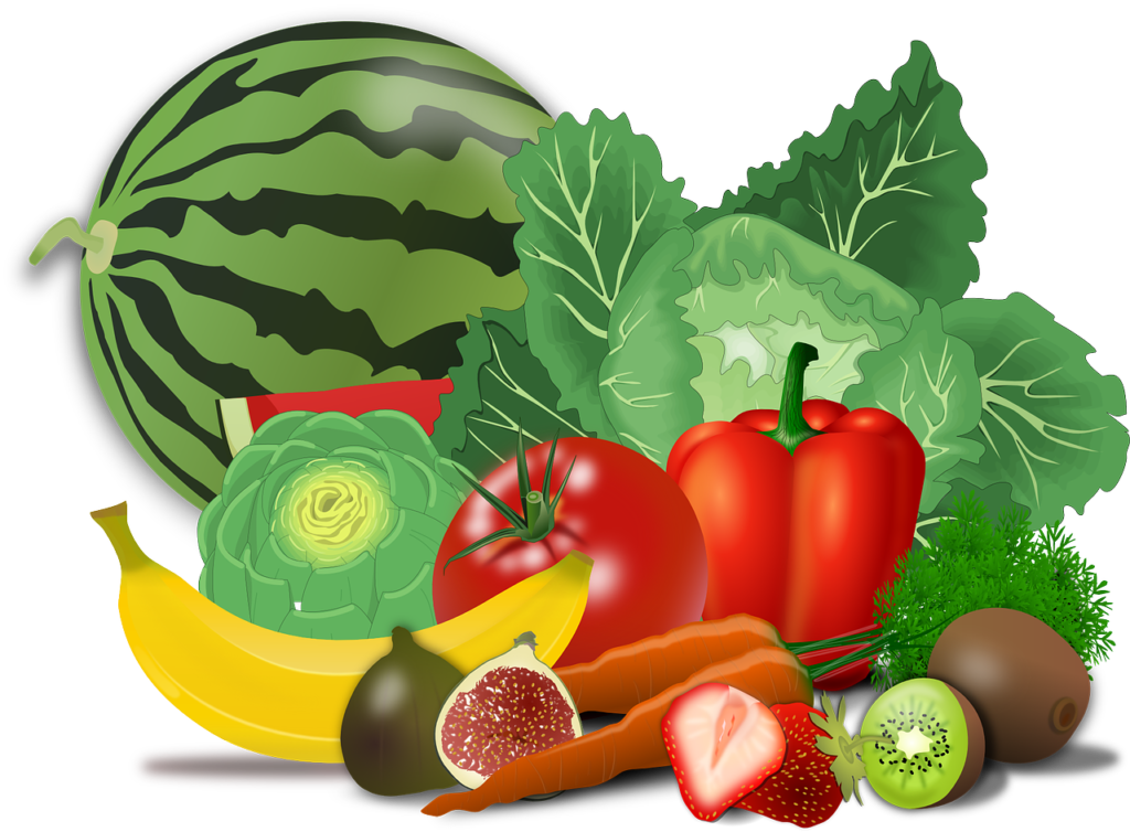 The 15 Best Food sources 